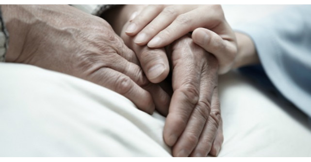 Poveste pentru toti. Despre suflet si minunea vietii