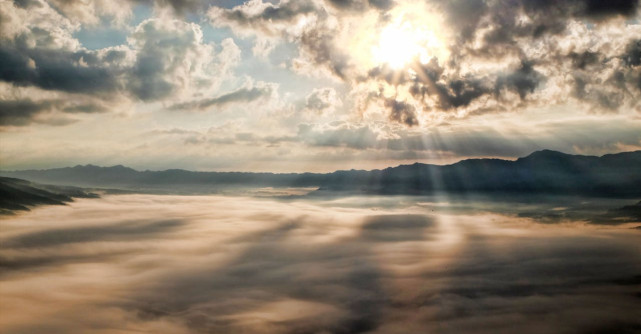 Iată, după 2 000 de ani, acest fantastic îndemn al lui Iisus, Iertarea, este explicat prin genetică