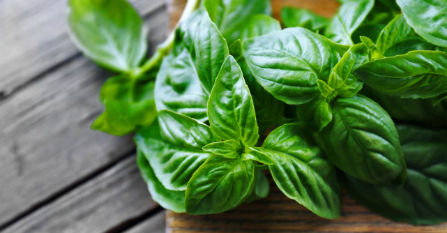 Efectele nebanuite ale busuiocului. Include-l mai des in alimentatie