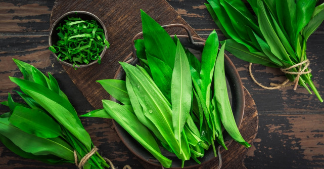 Leurda: Beneficii pentru sănătate și idei de utilizare în bucătărie