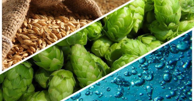 Alimentația, hidratarea, somnul, sportul și o minte echilibrată: 5 pași către un stil de viață sănătos