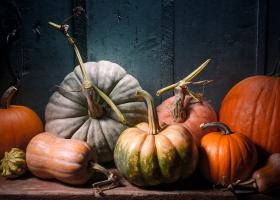 Cinci rețete simple și gustoase cu dovleac pentru începutul de noiembrie