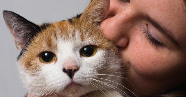 TOP 6 cele mai ieftine moduri prin care poti deveni un monument de fericire