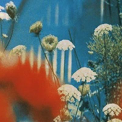 NOUA UNSPE și RUBY sunt protagoniștii videoclipului SPUNE-MI