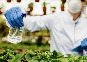 De ce avem nevoie de biostimulatori în agricultura modernă?