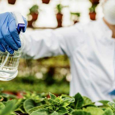 De ce avem nevoie de biostimulatori în agricultura modernă? 