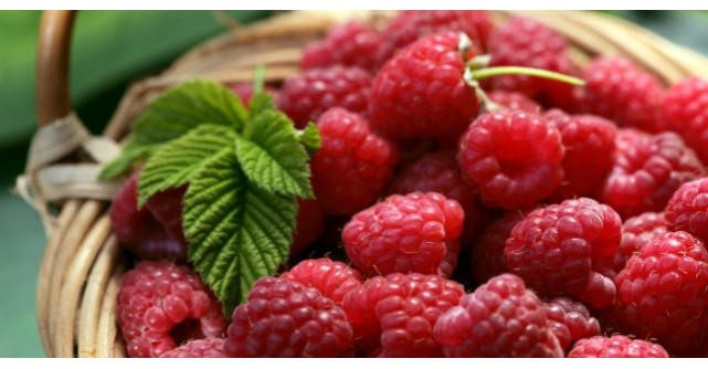 Efectele incredibile ale zmeurei pentru sanatate