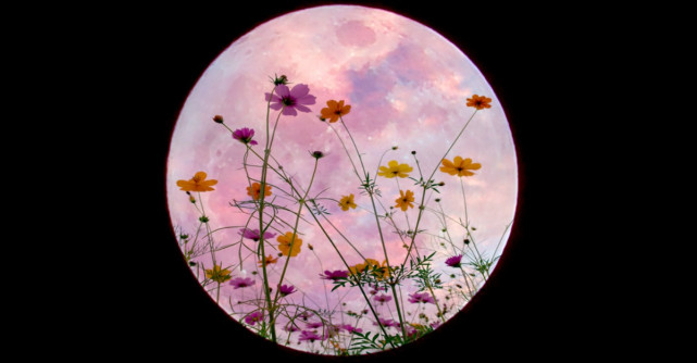 Cele trei zodii afectate de Luna Floare, ultima Super Lună a anului 2020