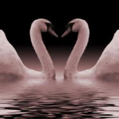 Iubirea ca reflexie: Principiul oglinzilor in psihologie 