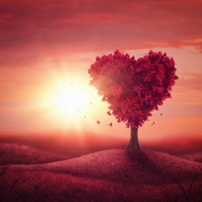 Iubirea, a opta minune a lumii