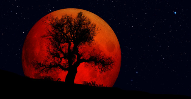 Astrologie: Pe 27 iulie Luna Sangerie ne rascoleste sufletele