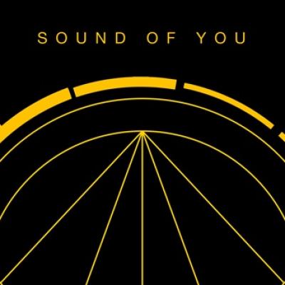 Pendulum și Armin van Buuren dezvăluie o colaborare electrizantă drum & bass 