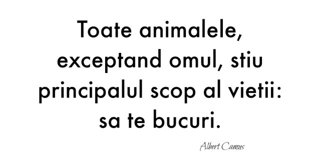 Cele mai frumoase citate de iubire: Alfabetul dragostei dupa Albert Camus