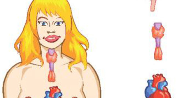 5 Suplimente Naturiste pentru TIROIDA