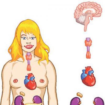 5 Suplimente Naturiste pentru TIROIDA