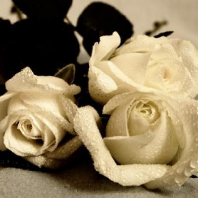 Elysee: Robert Piguet