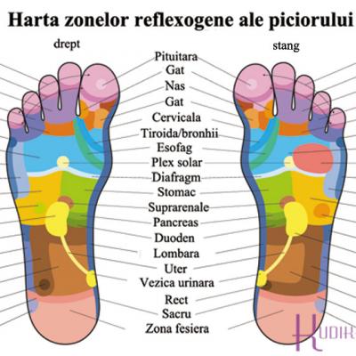 Mesajele ASCUNSE din talpa: descopera zonele-OGLINDA ale organelor