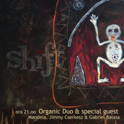 Expo si concert: Gabriel Balasa si Organic Duo