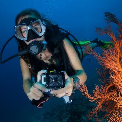 Ghidul începătorului în fotografia subacvatică