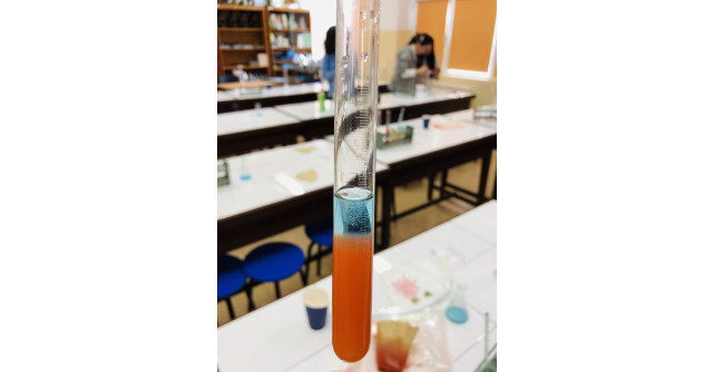 Johnson & Johnson România lansează WiSTEM2D, un program de orientare în carieră pentru elevii din clasele gimnaziale și liceale 