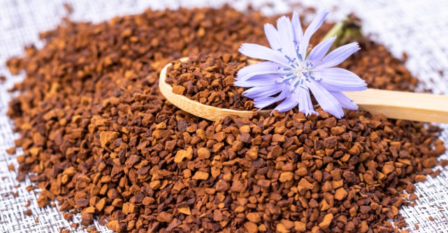 Cicoarea: beneficii, proprietăți și utilizări pentru sănătate