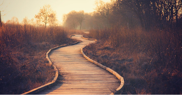 In viata nu exista coincidente