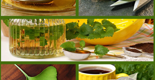 Macerat de ALOE VERA si miere: vindeca miraculos si creste imunitatea