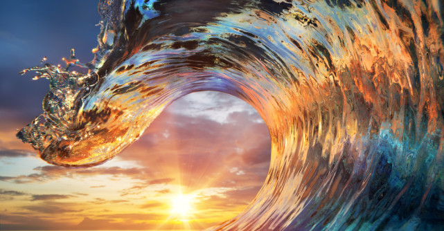 Unsprezece citate de la Thich Nhat Hanh care îți vor reaminti de ce ai venit pe Pământ