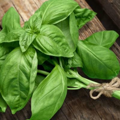 Efectele miraculoase și nebănuite ale busuiocului