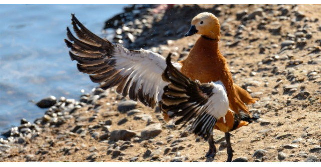 Fiecare are amintirile pe care le merita