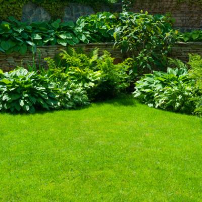Ce trebuie să ai când stai la casă: 4 idei pentru grădina ta