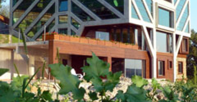 Galerie foto: Casa-copac