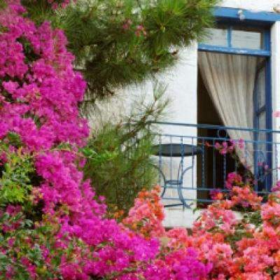 EARLY BOOKINGS pt GRECIA - tarife senzationale pt FIRST MINUTE 