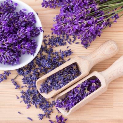 Proprietăţile terapeutice ale lavandei