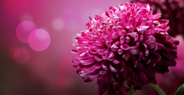 5 mantre pentru liniste psihica si sanatate