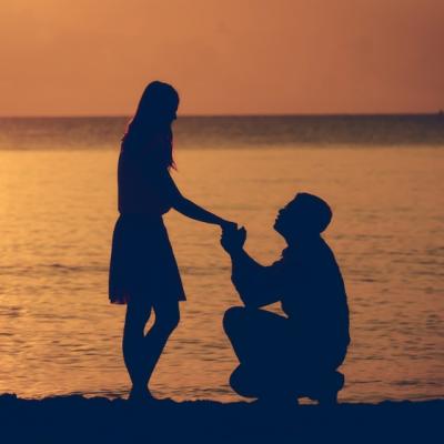 Cum iti dai seama ca el e alesul?