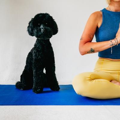 Pet Yoga: Beneficii pentru sănătatea ta și a animalului de companie