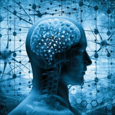 Curiozităţi despre creier pe care nu le ştiai