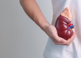 Analgezice pentru durerea de rinichi - Tratamente eficiente și recomandări
