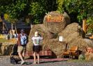 Family Farm Fest: Pariul câștigat în fața tehnologiei. Peste 300 de părinți și copii au redescoperit copilăria FĂRĂ ECRANE