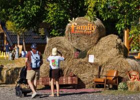 Family Farm Fest: Pariul câștigat în fața tehnologiei. Peste 300 de părinți și copii au redescoperit copilăria FĂRĂ ECRANE