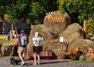 Family Farm Fest: Pariul câștigat în fața tehnologiei. Peste 300 de părinți și copii au redescoperit copilăria FĂRĂ ECRANE