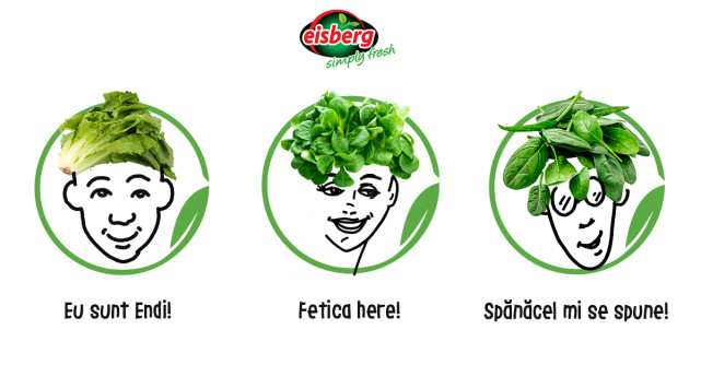 Prietenii din Cercul Verde și viața urbană