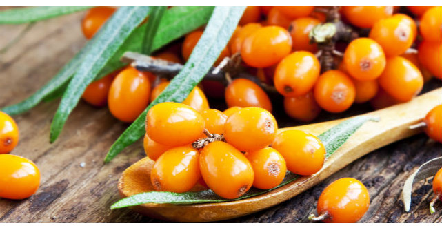 Catina face minuni si pentru piele. Cum sa iti faci o masca de fata100% naturala