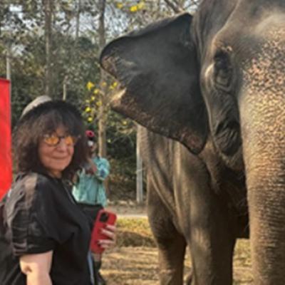 Mona Segall–Regina audiențelor din televiziunea românească. Producătorul din spatele succesului Chefi la cuțite