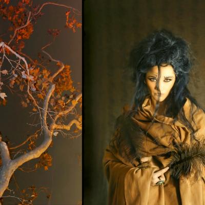 Horoscop 2019: Mesajul astrelor pentru cele 3 Zodii de Pamant