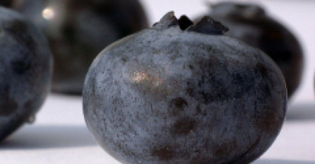 Acai, superfructul cu actiune antioxidanta exceptionala