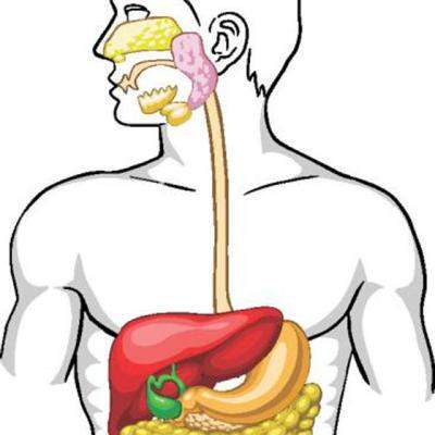 Ce sunt TRANSAMINAZELE? Analize medicale explicate