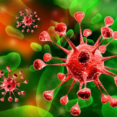 O noua utilizare cu succes a celulelor stem 