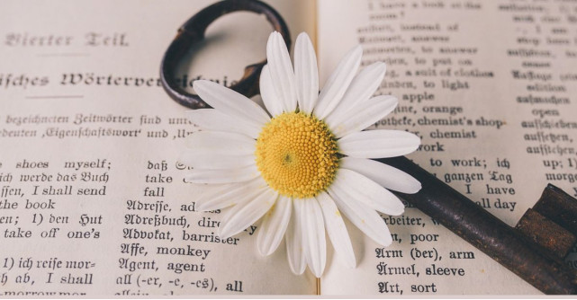 500+ Proverbe și zicale românești din înțelepciunea strămoșilor 